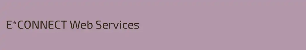 E*CONNECT Web Services